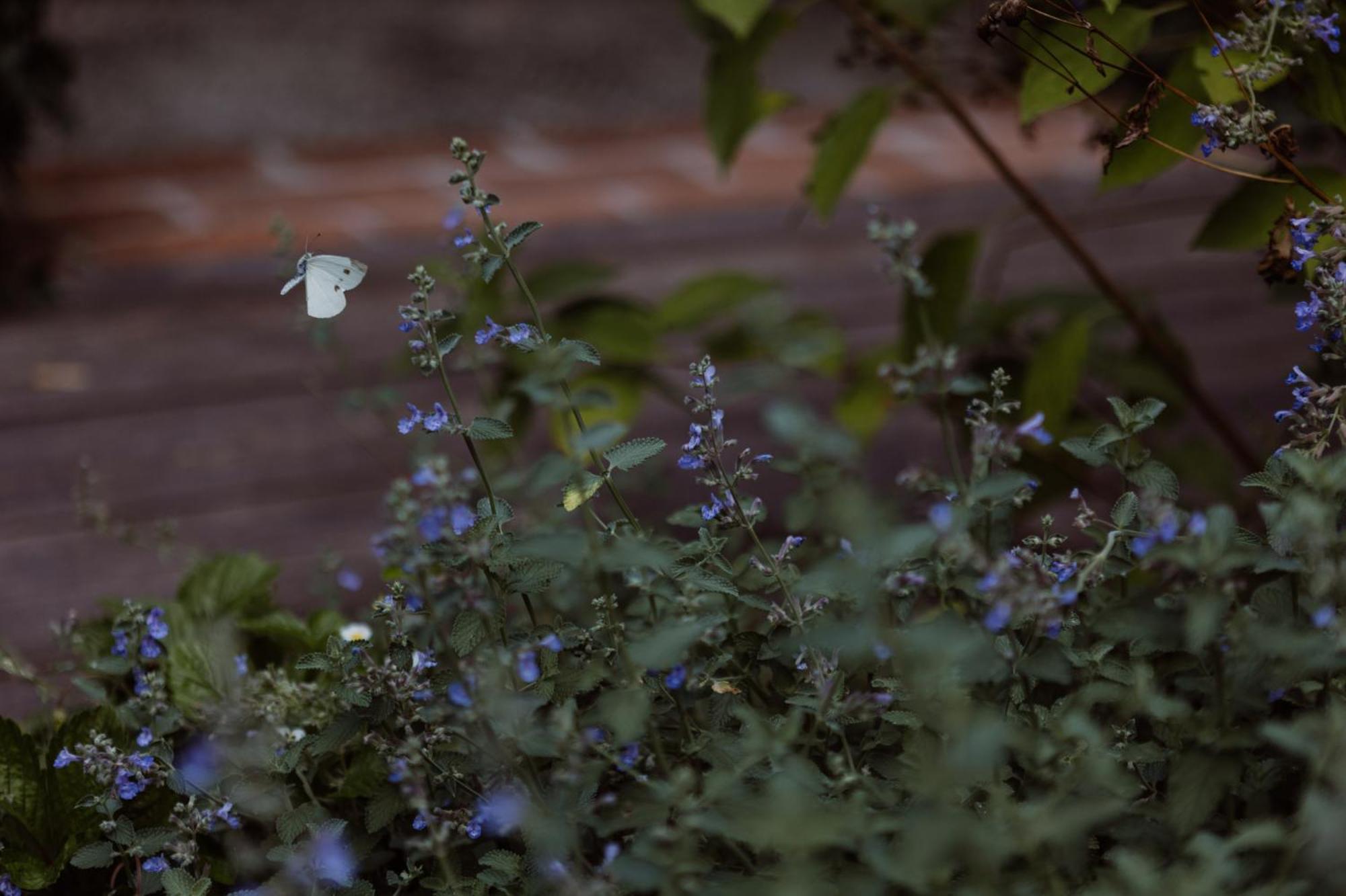 Bed and Breakfast Casa Toma - Luxury Garden House Arzignano Exterior foto