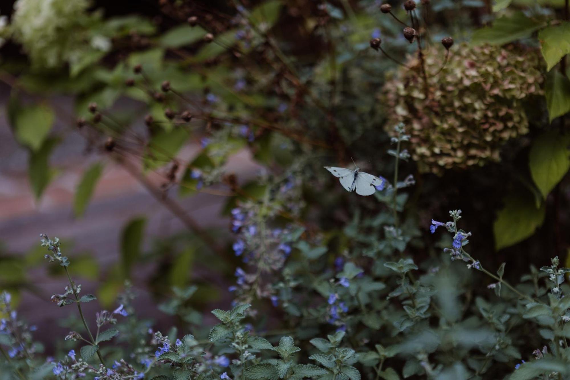 Bed and Breakfast Casa Toma - Luxury Garden House Arzignano Exterior foto
